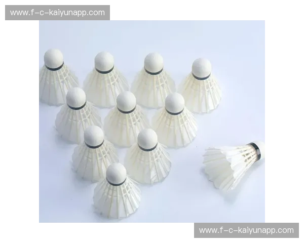 选择一颗适合你的羽毛球，开启全新的羽毛球之旅