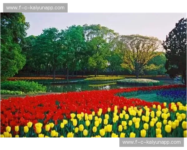 橙色风暴与蓝武士的灵魂共振：当郁金香遇上樱花，一场关于“极致”的绿茵美学博弈